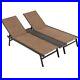 2-Person Poolside Chaise Lounge Chair Outdoor Patio Sun Bed Seat With Middle Panel