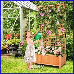 Raised Garden Bed Planter Box Climbing Plants Container withHanging Roof & Trellis